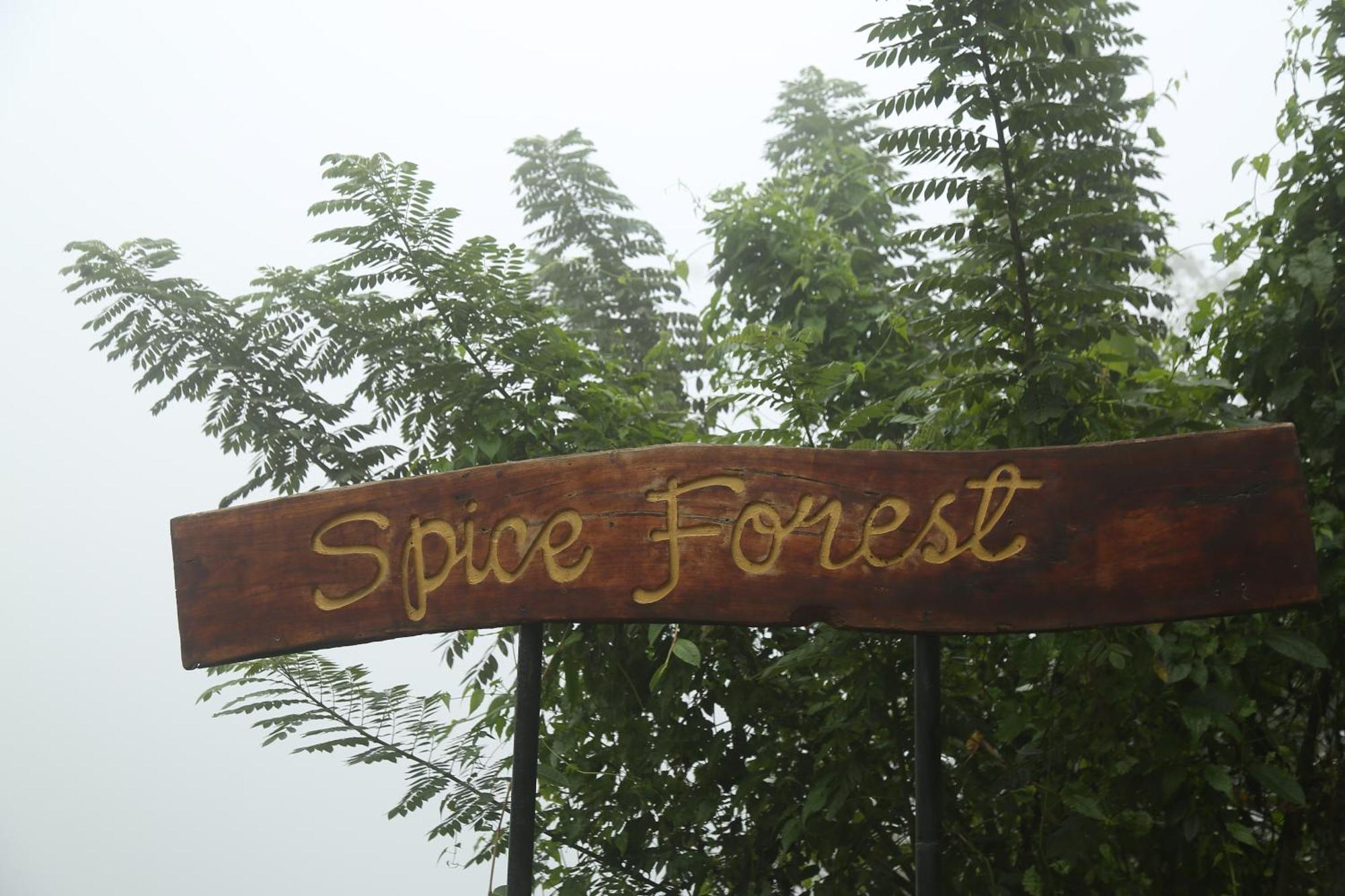 Spice Forest Plantation Homestay, Thekkady Vandiperiyār Εξωτερικό φωτογραφία