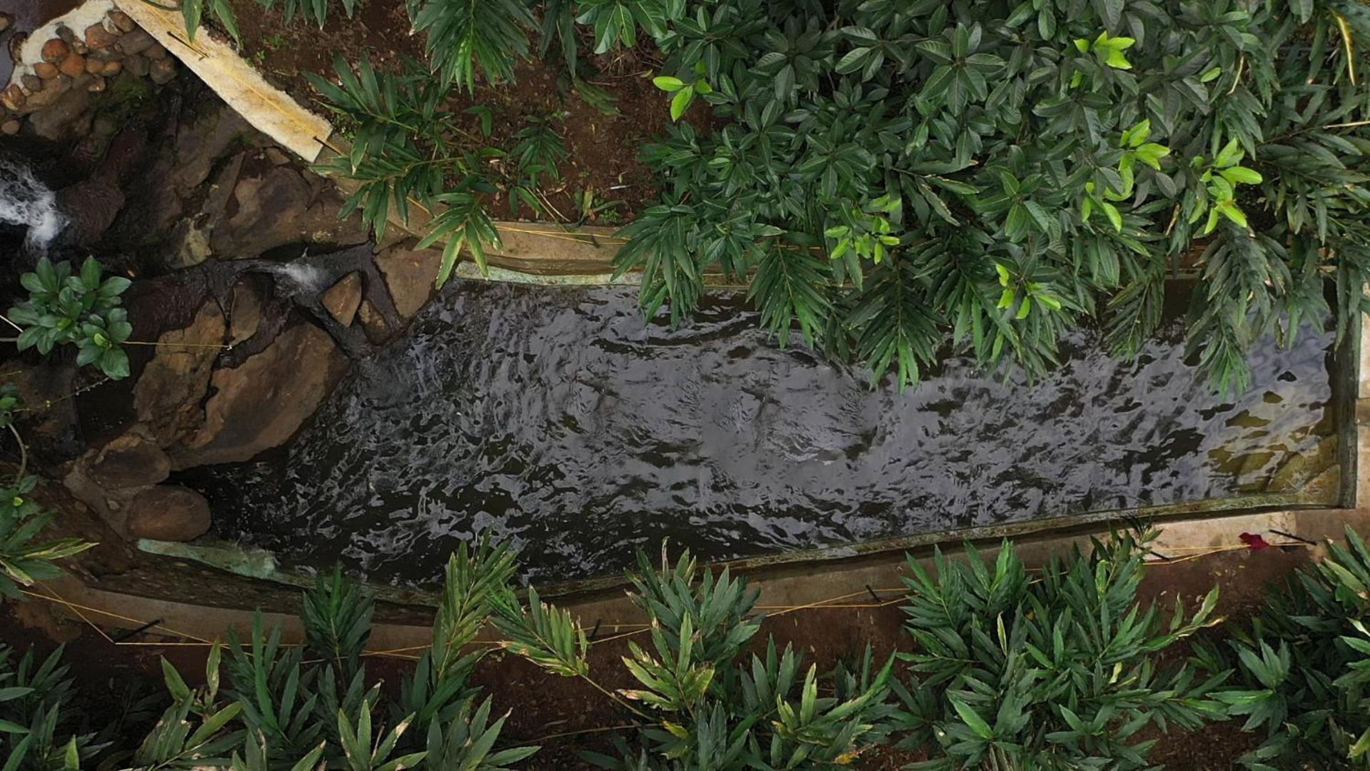 Spice Forest Plantation Homestay, Thekkady Vandiperiyār Εξωτερικό φωτογραφία